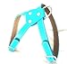 The Cool Puppy Cool Turquoise Leather Dog Harness Medium (10-12 inches)
