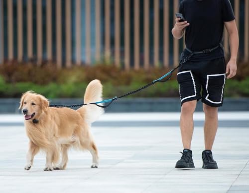 Image of Lyrovo Hands Free Dog Leash for Medium & Large Dogs, Reflective Bungee Running Leash with Adjustable Waist Belt & Zipper Pouch, Shock Absorbing Heavy Duty Pet Lead for Walking Jogging Hiking