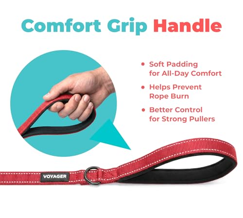 Image of Best Pet Supplies Voyager Reflective Dog Leash or Collar with Neoprene Handle, for Small, Medium, and Large Breed Puppies, Cute and Heavy Duty for Walking, Running and Training - Red (Leash), M