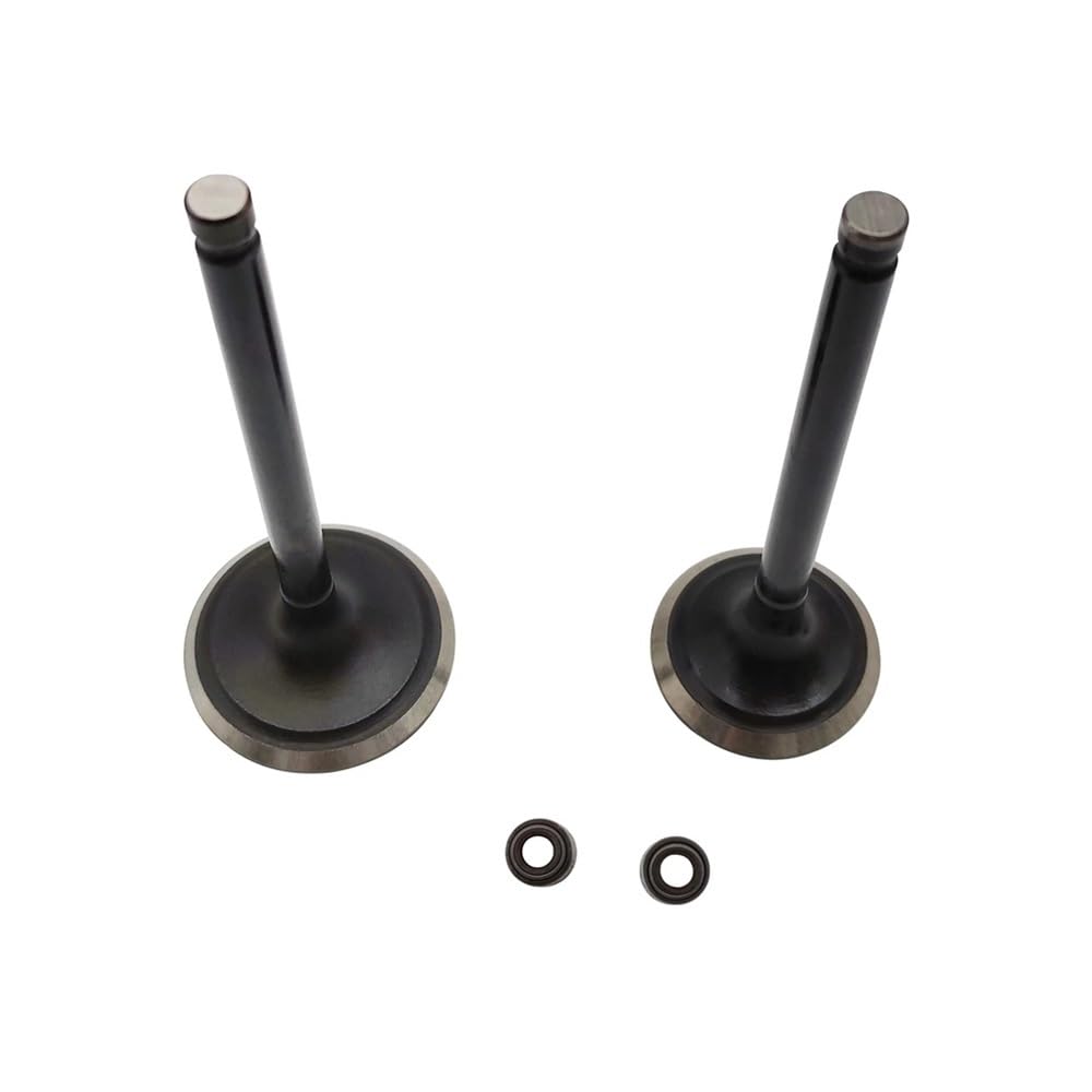 Kit valvola di aspirazione 1Pc e valvola di scarico 1Pc adatti for il suo HS 500CC ATV UTV HS ERP CODICE P002000147110000 P002000147210000