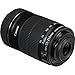 Canon EF-S 55-250mm f/4-5.6 IS STM Lens | Compact Telephoto Zoom with Image Stabilization & Smooth STM Autofocus | Ideal for Sports, Travel, & Everyday Photography + Adapter EF-EOS R + Bag + 64GB Card