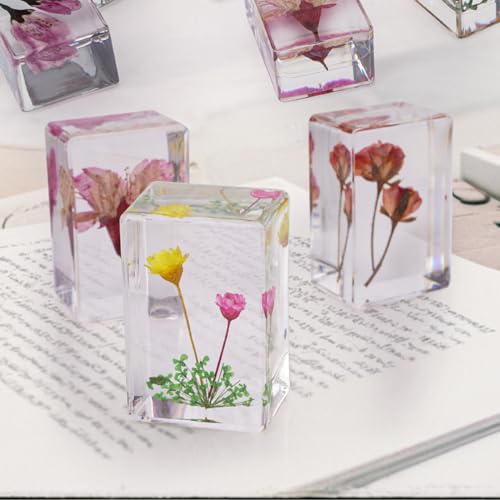 image for JINLISPIN 10 Pcs Flower in Resin Specimen Pressed Flower Paperweight F
