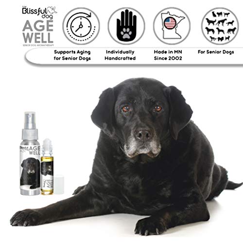 Image of The Blissful Dog Labrador Retriever Age Well Dog Aromatherapy Roll-On Bottle for Your Dog's Peaceful Ageing