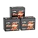LiTime 12V 100Ah Group 24 Bluetooth LiFePO4 Lithium Deep Cycle Battery with Self Heating & Low-Temp Protection, Max. 15000 Cycles, Perfect for RV, Solar System, Trolling Motors etc (3 Pack)