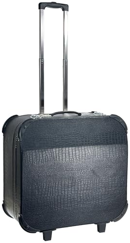 Alacran Pro Deluxe Plywood Core Hard-shell Accordion Case, APC-120-C, will fit most 120 Bass Compact style accordions