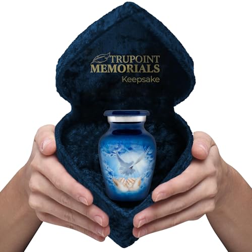 Trupoint Memorials Small Urns for Human Ashes Keepsake, Decorative Mini Cremation Urn for Adult Men and Women, Small Blue Dove with Velvet Heart Box