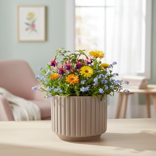 Image of Xtore Refined Ribbed Ceramic Planter Pot for Indoor Plants | Contemporary Wide Flower Pot for Home, Office Desk & Balcony Decor (Brown - Planter only)