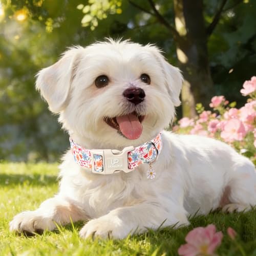 Image of Floral Cotton Dog Collar,Summer Flower Print Dog Collar, Soft Adjustable Puppy Collars with Flower Charm & Quick Release Buckle for Small Medium Large Dogs