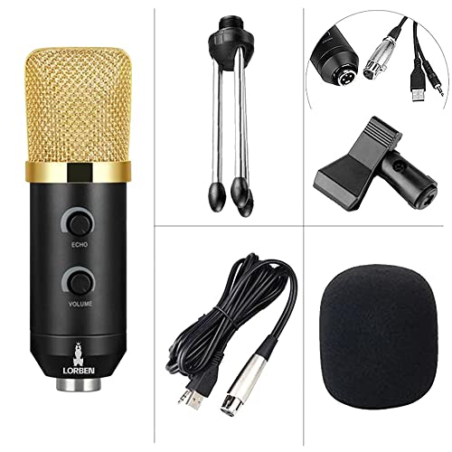 Microfone Condensador Usb Estudio Bm100Fx 648 - Lorben