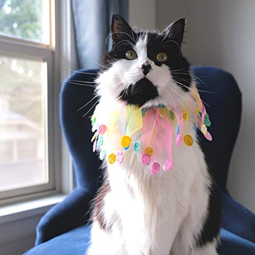 Midlee Easter Egg Decorative Dog Collar (Small) #TOP5