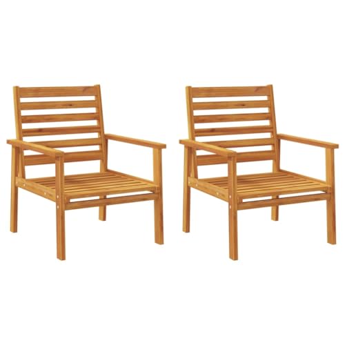 vidaXL Lot de 2 Fauteuil de Jardin, Chaises avec Accoudoirs, Sièges avec Dossier, Meubles de Patio Terrasse Extérieur, Bois Massif d'Acacia
