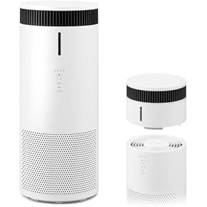 Amazon.co.jp: 空気清浄機 - アイリスオーヤマ季節家電: ホーム＆キッチン