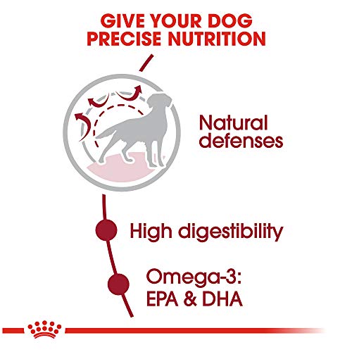 Royal Canin Medium Breed Adult Dry Dog Food, 17 Lb Bag #TOP17