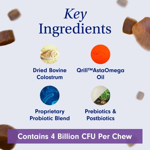 PetLab-Co-Allergy-Immune--Support-Your-Pup-with-Seasonal-Allergies-Intermittent-Itchiness-Healthy-Yeast-Production-Probiotic-Dog-Allergy-Chews-Available-in-Small-Medium-Large