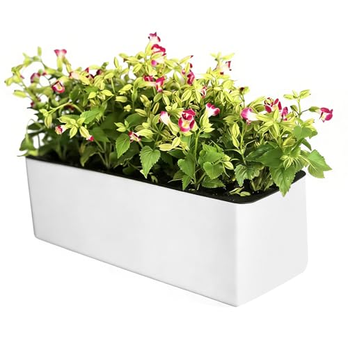 Macetas, maceta autorriego para decoración del hogar, macetas para flores al aire libre - entrada, patio, viajes, vacaciones, interior, sala de estar, alféizar de la ventana