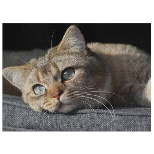 L   pY NG[VAjObY X^CbV l jp D ߋ t@[Xg`CX ؐ  Ǐ葡蕨 av[g 500 PCS