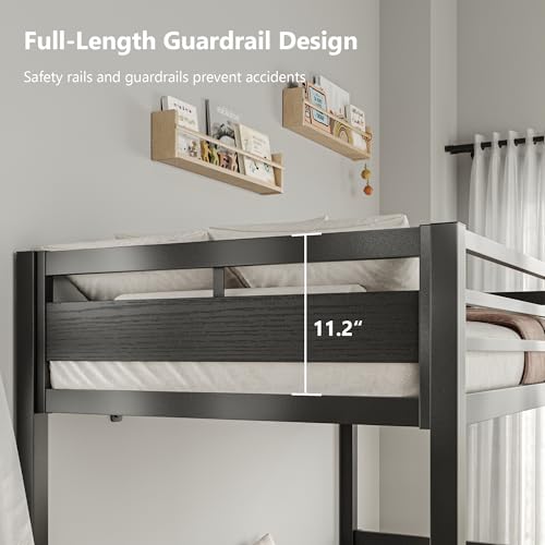 Image of iPormis Metal Bunk Bed Twin Over Twin, Heavy Duty Bunk with High Guardrail and Safety Entrance Design, Under-Bed Storage Space, Easy Assembly, Noise Free, Black