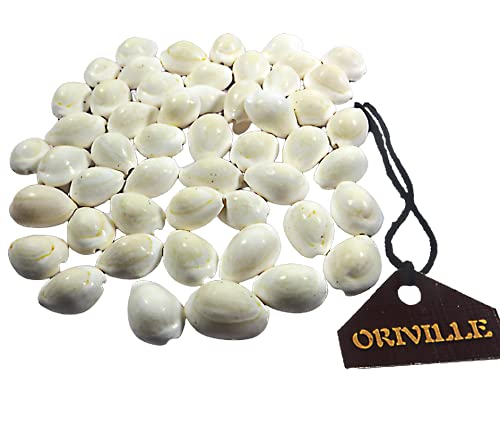 ORIVILLE White Cowdi/Kauri/Kowri/Kaudi/Cowrie Shells Energised with Mantras (51 Pieces for Pooja/Puja) - Image 4 thumbnail