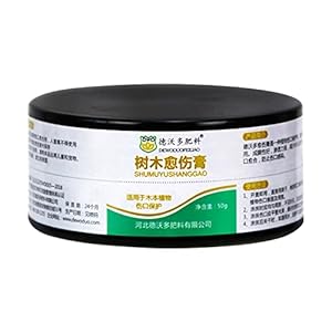 BLENGA Bonsai Snoeien Snijpasta – 50g, Reparatie Sealer voor Quick Recovery Boom, Bonsai Healing Pasta Plant Healing…