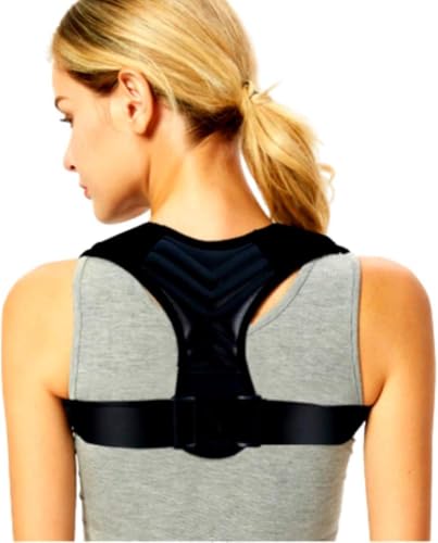 OneHealth w؃xg xg w؃T|[^[ jp ubN (S)