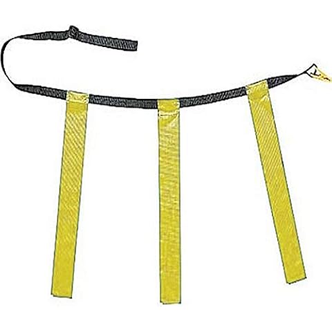 Champion Sports Quick Release Flag Set Cover