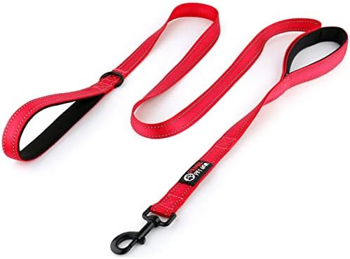 Primal Pet Gear 6ft Long Heavy Duty Double 2 Handle Dog Leash for Large and Medium Dogs, Tough Metal Clip, Durable leashes, Training Lead for Puppy, Strong Dog Leads, Reflective Stitching, Thick red