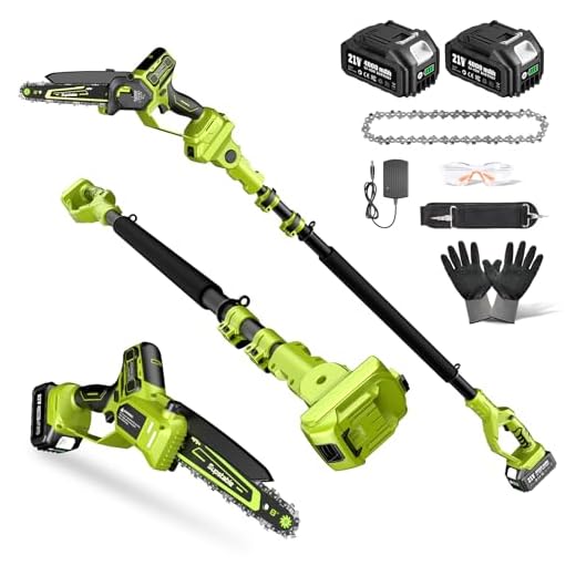 Electric Pole Saws for Tree Trimming, 8 Inch & 6 Inch Mini Chainsaw Cordless with Extension Pole, 16Ft Reach, 2x4.0Ah Battery, Auto Oiling, Tool-Free Chain Tensioning, Tree Trimmer for Branch Limb Cut