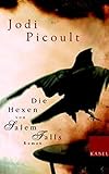 Die Hexen von Salem Falls: Roman - Jodi Picoult