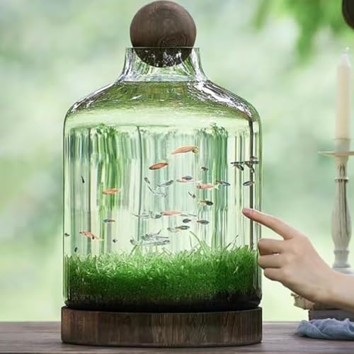 MegLob Glass Aquarium with Wooden Base, Microecosphere Fish Tank, Transparent Bottle-Shaped Batta Fish Bowel, Micro-Landscape Ecological Aquarium, Modern Glass Goldfish Tank,XL