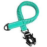 PetBonus Bungee Leinenverlängerung, 45cm Stoßdämpfende Verlängerung, Robust für Mittelgroße bis Große Hunde, Reflektierende Nylon Ruckdämpferleine für Joggen, Radfahren, Spaziergang (Türkis)