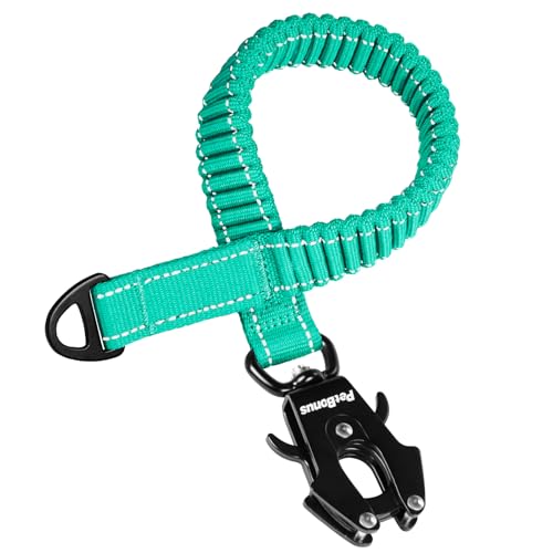 PetBonus Bungee Leinenverlängerung, 45cm Stoßdämpfende Verlängerung, Robust für Mittelgroße bis Große Hunde, Reflektierende Nylon Ruckdämpferleine für Joggen, Radfahren, Spaziergang (Türkis)