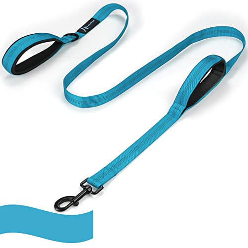 Image of Dog Leash for Large Medium Dogs - 6 ft Reflective Stitching With 2 Traffic Padded Handles, Lead Rope for Running Walking Training (Blue 1 Pack)