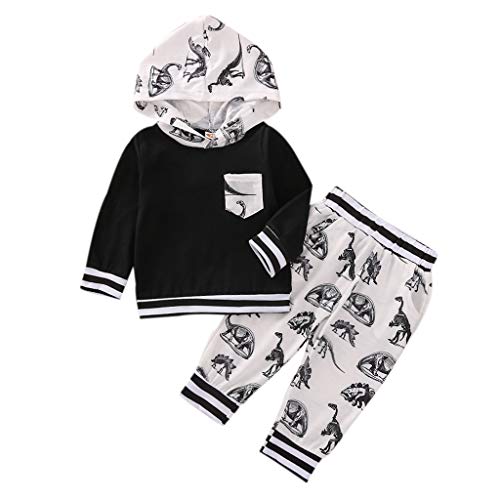 Toddler Infant Baby Boys Dinosaur Hoodie Tops Pants Set Long Sleeves Sweatsuit Fall Winter Outfits (Black, 2-3 Years)