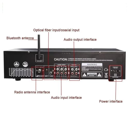 Procesador de karaoke de audio digital con pantalla de frecuencia en tiempo real, sintonización dual de 10 bandas, 12 patrones de ritmo para estudio en casa y actuaciones en vivo