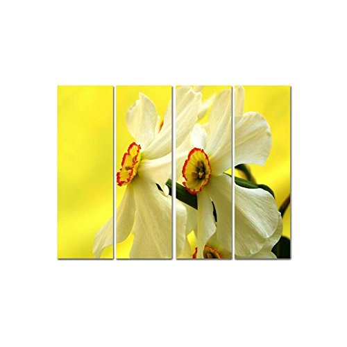 Little Jaipur Daffodil 4 Panel Wall Art Painting with Matte Coating