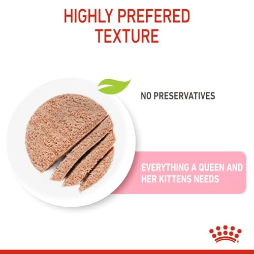 Royal Canin Mother & Babycat Mousse | 12 x 195 g | Alleinfuttermittel für Katzen | Speziell für die Mutterkatze und ihre Welpen | Zur Unterstützung der körpereigenen Abwehrkräfte