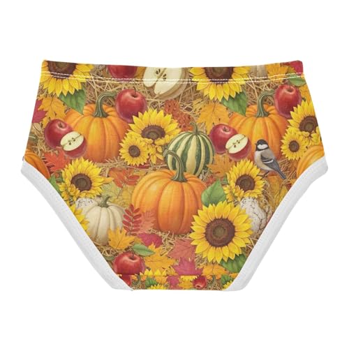 Girls Briefs, Autumn Pumpkins Sunflowers Toddler Panties, Girls' Cotton Brief Underwear, 2T–8 Years2