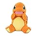 Imagen de Pokemon Charmander 20
