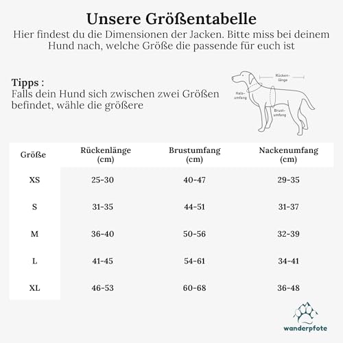 Wanderpfote Hundemantel in Grau, Größe XS - Synthetische Daunenjacke, Stilvoll und Elegant - Wasserdicht - Für Kleine Hunde - Wintermantel