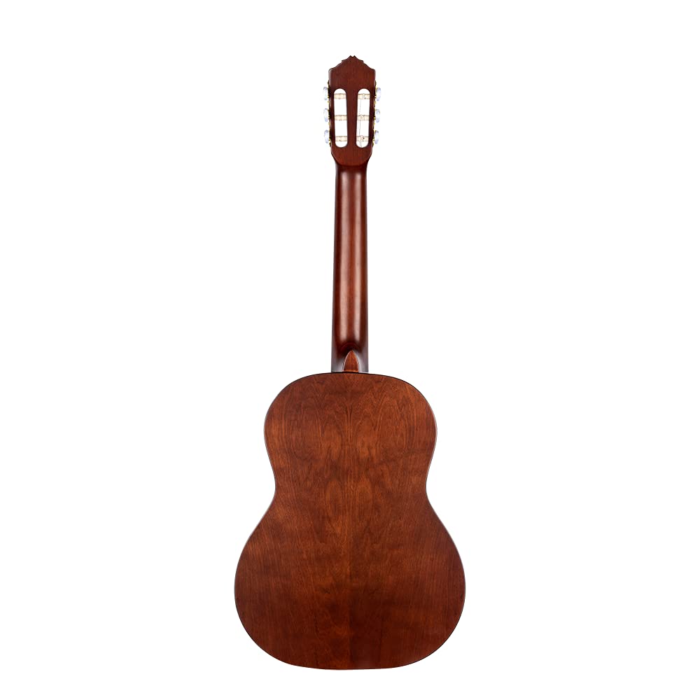 Ortega Guitars Family Series Pro Chitarra Acustica, 6 Corde, Finitura Semilucida, Catalpa