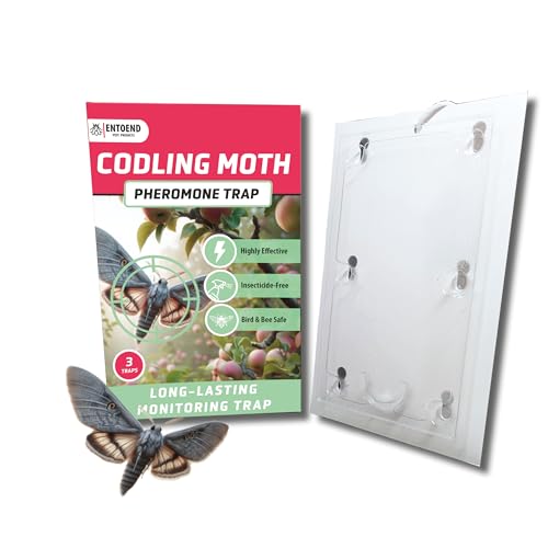 ENTOEND Codling Moth Pheromone Trap | Pack of 3 for 6 Months Supply | Highly Effective Monitor Traps for Codling & Plum Moths | Pre-Baited Easy to Use Moth Killer for Apple & Fruit Tree Protection