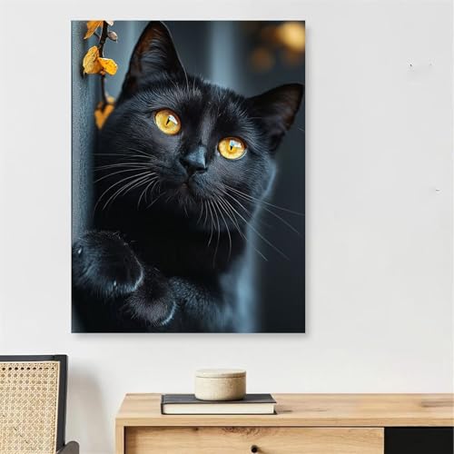 Peinture par numero animal chat 30x40cm avec cadre en bois pour decoration murale