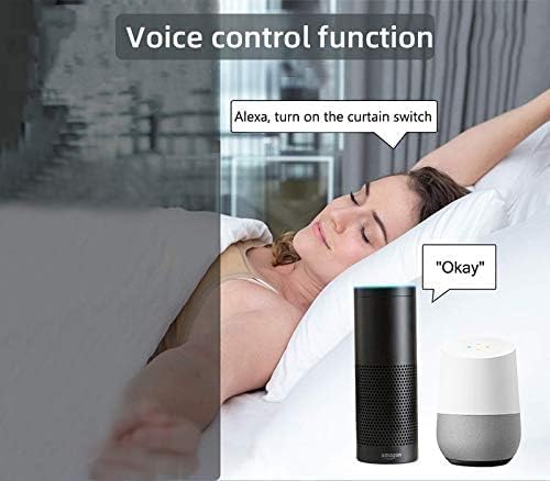 Image illustrating voice control with Amazon Echo and Google Home devices
