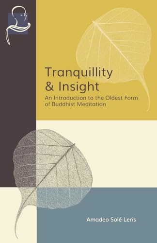 Tranquillity & Insight: An Introduction To The Oldest Form Of Buddhist Meditation