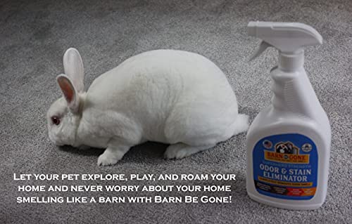 BARN BE GONE Superhero Strength Eliminador de manchas e odores de animais de estimação | Spray limpa