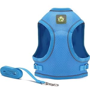 Wooflix Dog Harness for Small Dogs and Puppies – Reflective Soft Padded Dog Harness with Secure Fit, – Suitable for Small Size Dogs, Cats & Puppies of up to 10 Kg (Up to 10 KG Dog/Cat, Blue)