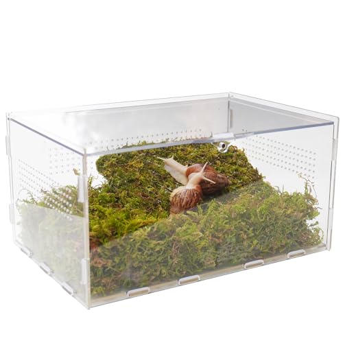Jinymral Kit de terrarium pour escargots avec accessoires d'escalade - 29 x 20 x 15 cm (L x l x H) - Maison transparente pour petits animaux pour escargots,...