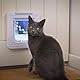 Cat Mate Elite Mikrochip-Katzenklappe mit Digitalem Timer & LCD-Anzeige (355) – Für Kleine bis Mittelgroße Katzen, Einfache Installation in UPVC-Türen, Glas und Holz, Weiß