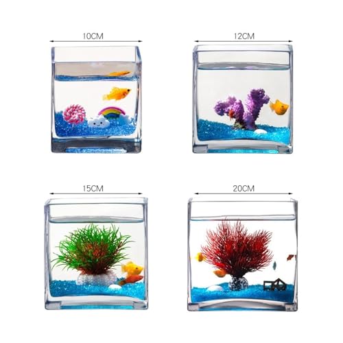 Mini tanque de peces compacto de 15cm para tortugas y espacios pequeños 3