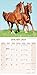 Horse Calendar - Calendars 2023 - 2024 Wall Calendars - Animal Calendar - Horses 16 Month Wall Calendar by Avonside
